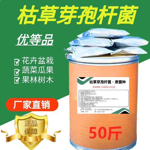 济南枯草芽孢杆菌1000亿/克枯萎病根腐病微生物菌剂杀菌剂