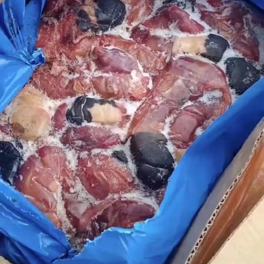 郑州驴鞭
