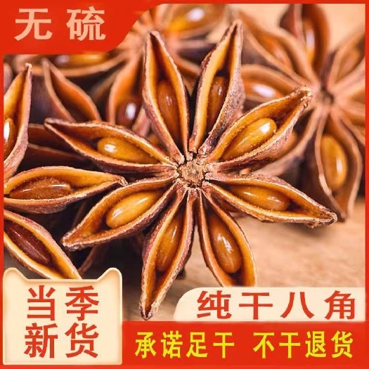 广州八角广西大料大红八角纯干大茴香料大全调料香辛料卤料
