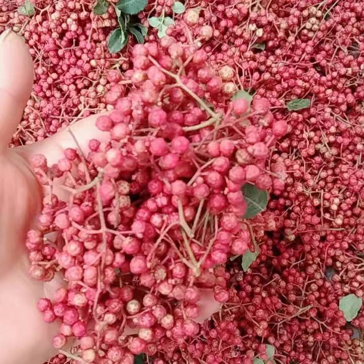 农家自种鲜花椒，色面红，味麻辣心黑叶子麻等特点，