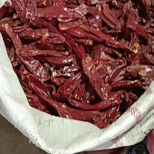 大方县红龙23。量大从优