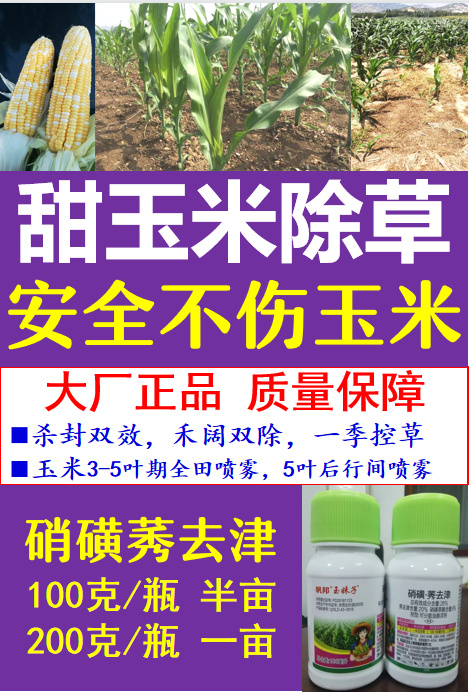 甜玉米除草剂有哪些糯玉米用什么除草剂安全不伤玉米杀草厉害更好