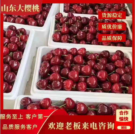 临朐县山东优质车厘子，美早大樱桃上市中，口感好，支持全国代发