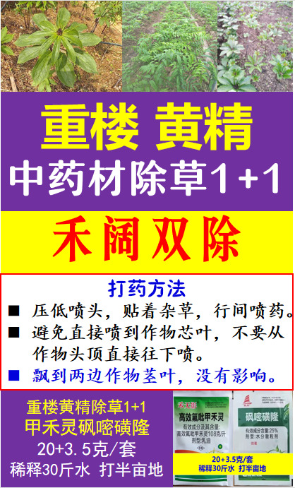 长沙重楼除草剂黄精用什么除草安全不伤药材专用除草重楼怎么除草