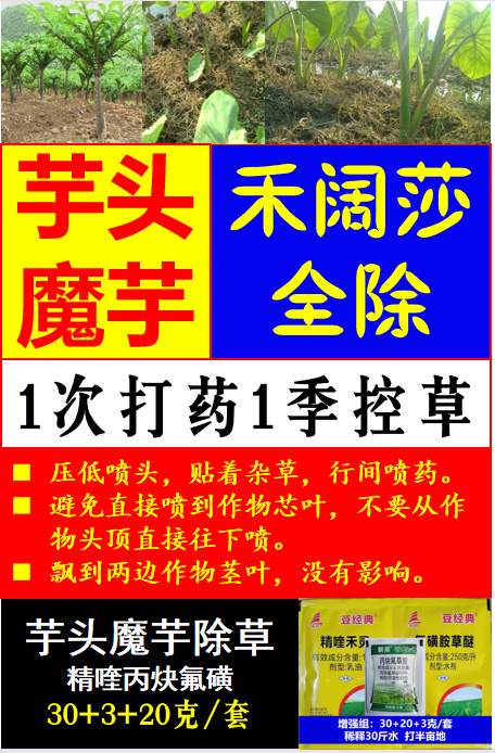 芋头除草剂效果好魔芋用什么除草剂安全不伤作物禾阔双除