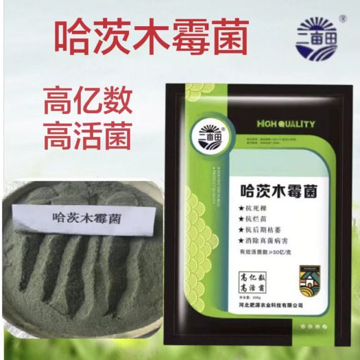 邯郸哈茨木霉菌抗死棵抗烂苗抗后期枯萎