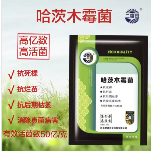 邯郸哈茨木霉菌 有效活菌数>50%/克  高亿数  高活菌