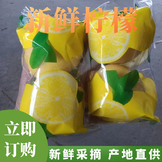 安岳县安岳尤力克柠檬 双胞胎黄柠檬  商超 奶茶店水果店均可