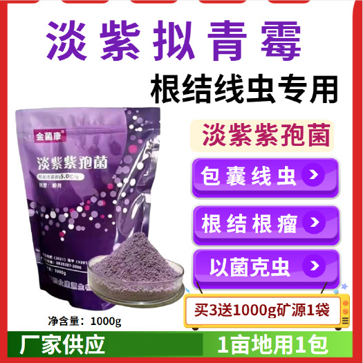郑州淡紫拟青霉微生物菌剂根结线虫防治淡紫紫孢菌胞囊线虫茎线虫菌肥