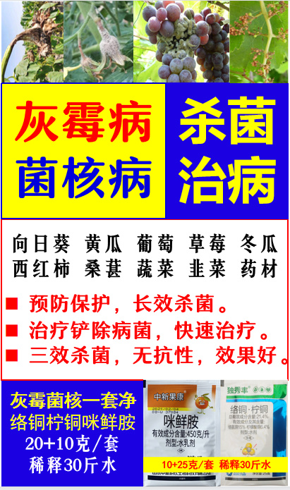 向日葵菌核病杀菌剂效果好腐烂长白毛怎么办向日葵杀菌剂