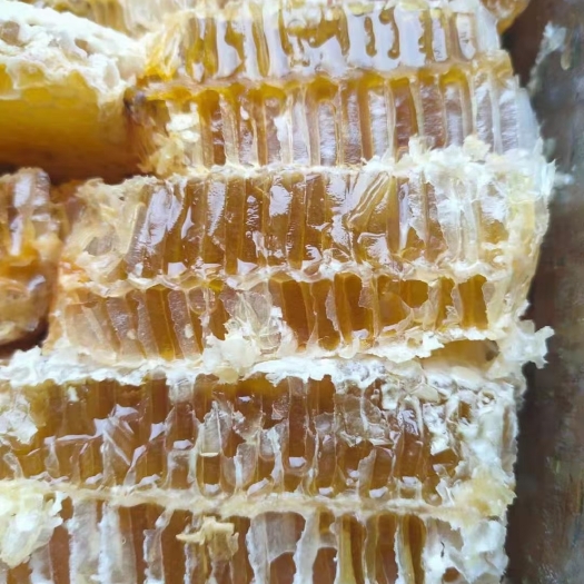 成都蜂巢蜜  铁箱压榨蜂巢蜜现榨现卖跑江湖批发