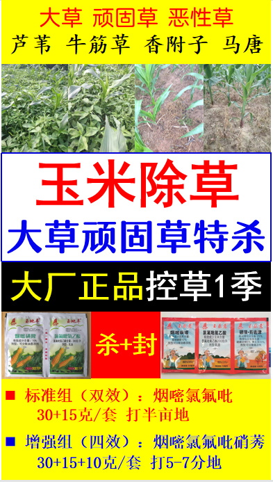 玉米专用除草剂厉害杀大草恶性草顽固草马唐香附子玉米除草剂