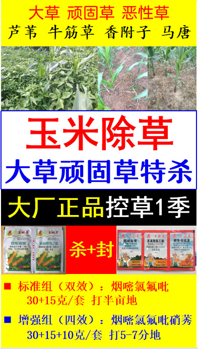 长沙玉米专用除草剂厉害杀大草恶性草顽固草马唐香附子玉米除草剂