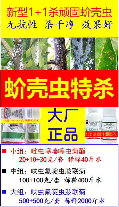 长沙杀蚧壳虫厉害杀虫剂新型药柑橘桃树果树杀抗性顽固蚧壳虫顽