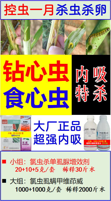 钻心虫食心虫杀虫剂厉害效果好更强内吸杀抗性钻心虫增强特杀