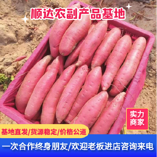 遂溪县西瓜红蜜薯、龙九。对接全国【电商】商超、工厂一手货源。