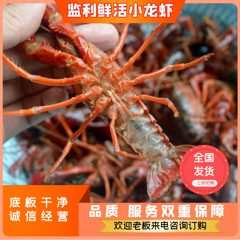 湖北小龙虾产地直供，品质和服务双重保证