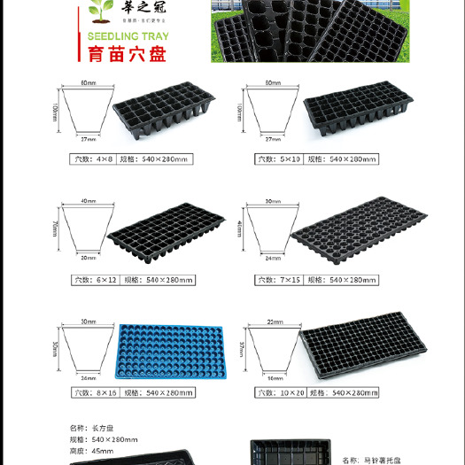 莘县育苗穴盘