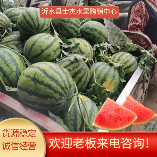 沂水县山东大棚西瓜产地，甜王西瓜  京欣西瓜价格，
