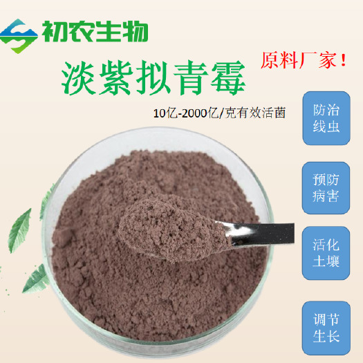 平度市淡紫拟青霉防治根结线虫小助手10亿有效活菌