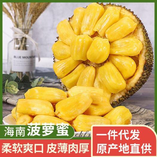 万宁市原产地海南黄肉菠萝蜜（一件代发）