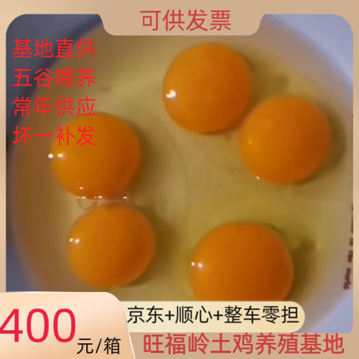 京山市鸡种蛋 苏禽土鸡种蛋受精率达92%以上