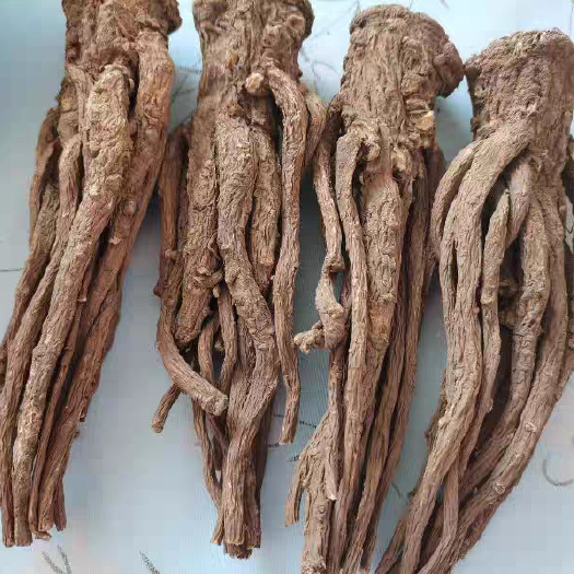 岷县当归一斤6-8个包邮千年药乡250g包邮产地直销
