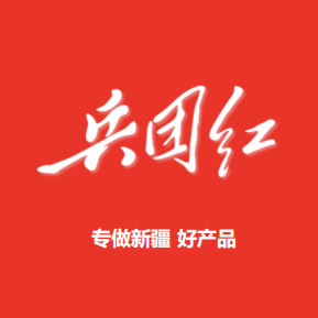 新疆干果坚果名优特产品休闲食品节日福利
