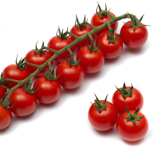 宿迁串收小番茄，串收樱桃小番茄，玻璃温室种植，