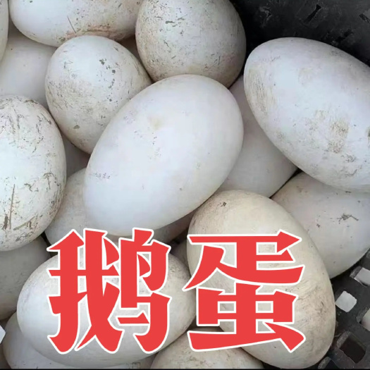 富平县老鸭农土鹅蛋