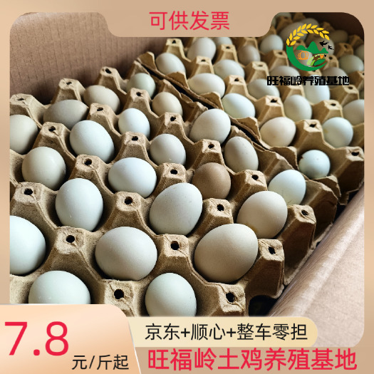 【产地批发】12个一斤初生蛋绿壳苏禽土鸡蛋420枚现捡现发