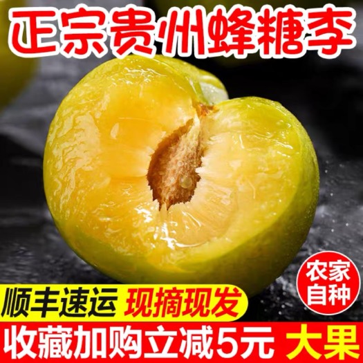 紫云县精品蜂糖李