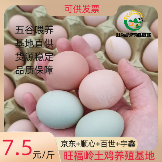 京山市【翡翠小绿】基地直供现捡现发土鸡蛋420枚装山林散养口感浓香