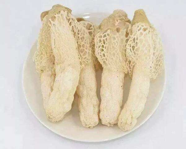 阳新县阳新县干菌子竹荪250g