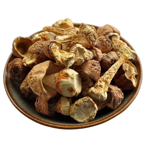 阳新县阳新县干菌子姬松茸250g