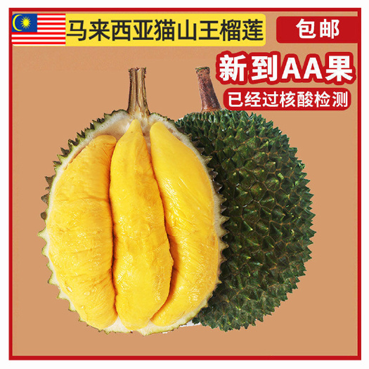 深圳【一件代发】马来西亚猫山王D197双A果顺丰包邮