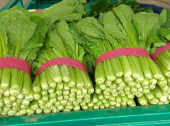 毛白菜