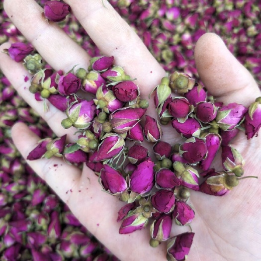 玫瑰花茶  苦水玫瑰花，一件代发，甘肃玫瑰源头厂家