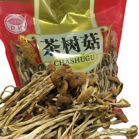 宁化县黄帽茶树菇 6~8cm