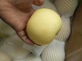 赵县皇冠梨 300-350g 55mm以上