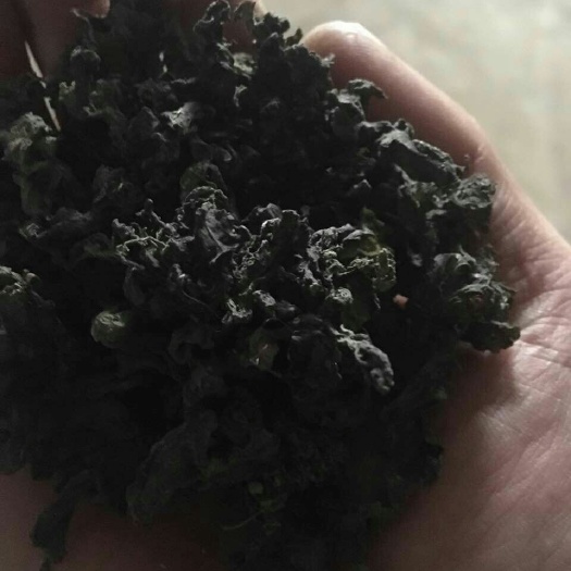 定西野生地皮菜 一级