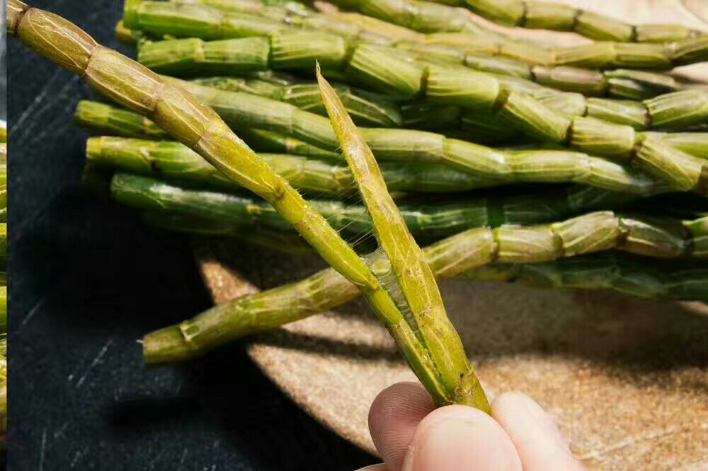 铁皮石斛