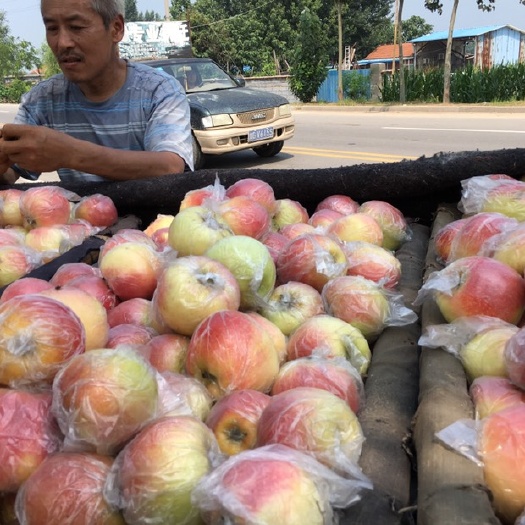  嘎啦苹果、潍坊红嘎啦苹果大量现货，口感脆甜，价格超低