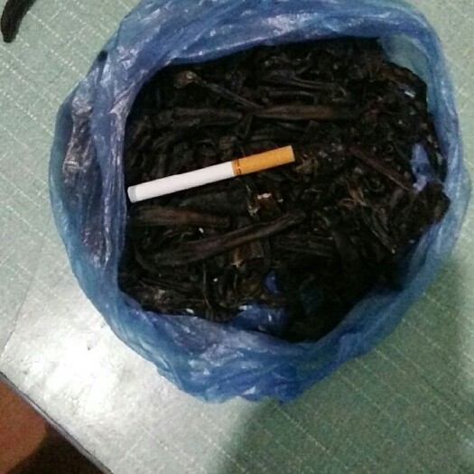 张家港市干水蛭