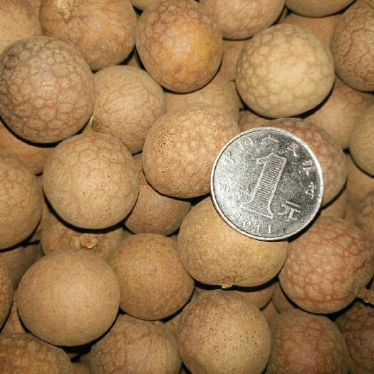 广西平南桂圆干龙眼干