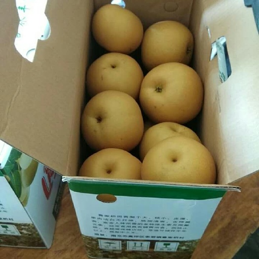 南充 卖梨子了，自家产的梨子，挺好吃的，啦啦啦
真心的不赚什么钱，