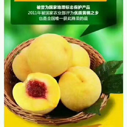炎陵县炎陵黄桃 55mm以上 4两以上