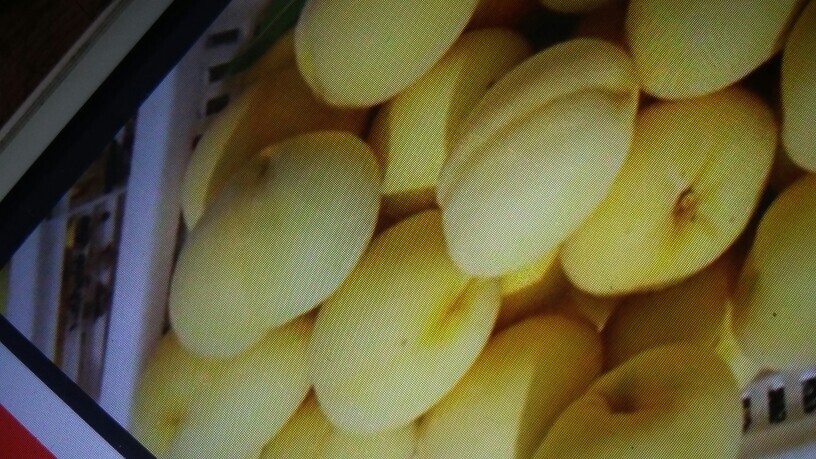 昌乐县黄金黄桃 45mm以上 4两以上