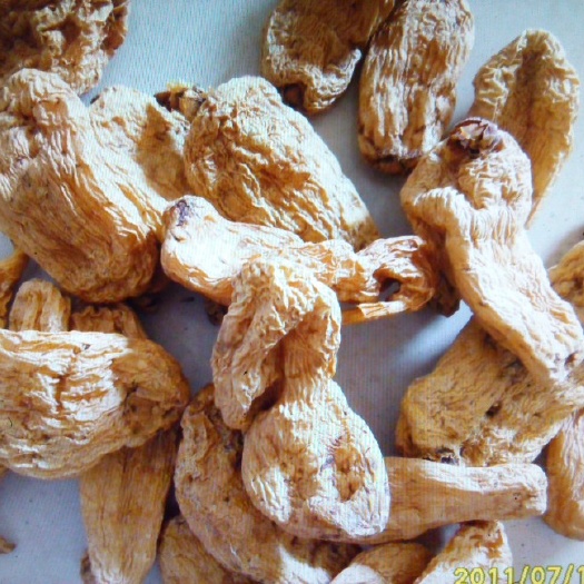 宝兴县天麻
