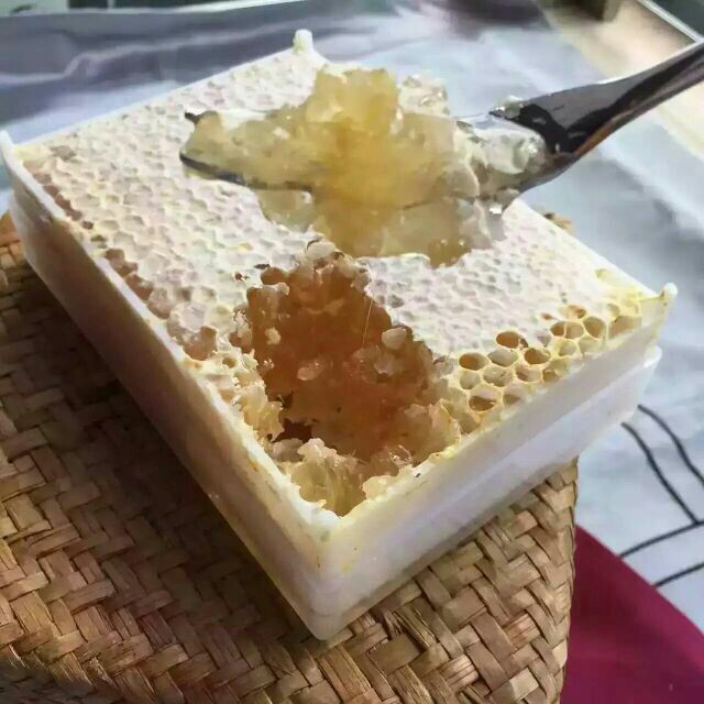巢蜜 盒装  2年以上 蜂巢蜜